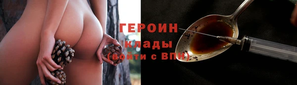 сатива Белокуриха