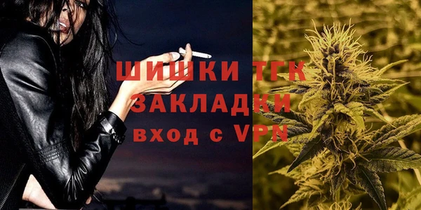 сатива Белокуриха