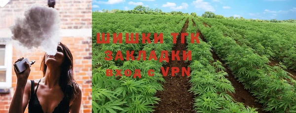 сатива Белокуриха