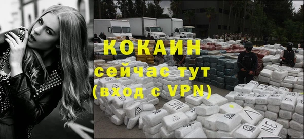 сатива Белокуриха