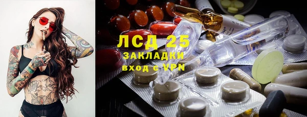 сатива Белокуриха