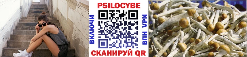 наркошоп  Очёр  маркетплейс телеграм  Псилоцибиновые грибы мухоморы 